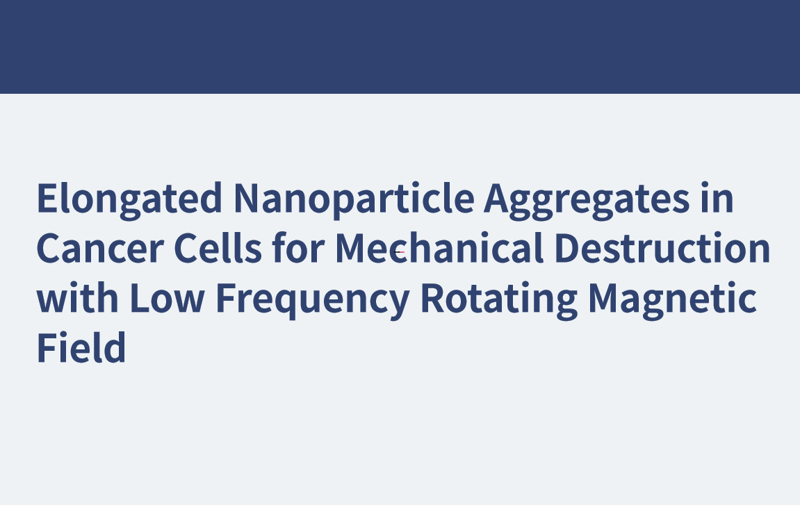 がん細胞内で細長いナノ粒子が凝集し、低周波回転磁場で機械的破壊を行う