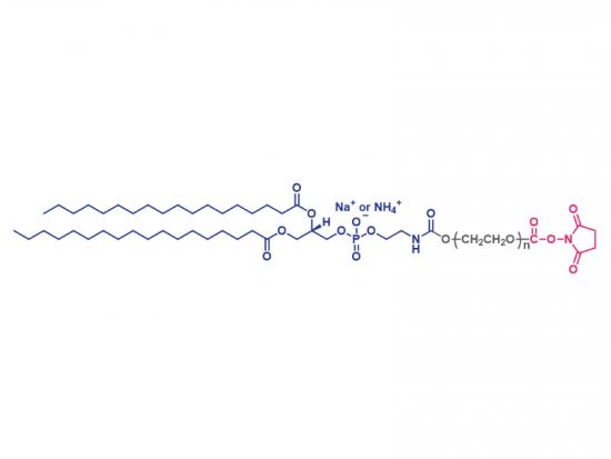 α-スクシンイミジル-ω-ジステアロイル-sn-グリセロ-3-ホスホエタノールアミノポリ（エチレングリコール） 