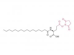 nα-パルミトイル-（l）-グルタミン酸-γ-スクシンイミジルエステル
