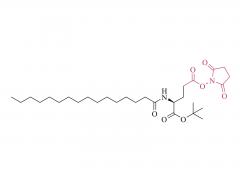 nα-パルミトイル-（l）-グルタミン酸-γ-スクシンイミジル-α-tert-ブチルエステル