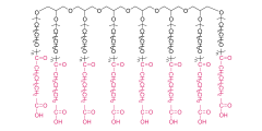 8アームポリ（エチレングリコール）グルタル酸（HG）