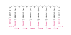 8アームポリ（エチレングリコール）コハク酸（HG）