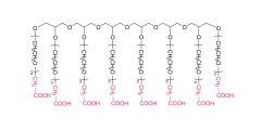 8アームポリ（エチレングリコール）カルボン酸（HG）