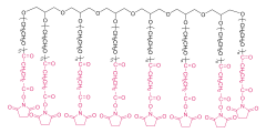  8アーム ポリ（エチレン グリコール） スクシンイミジル コハク酸塩（HG） 