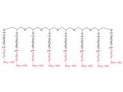 8アームPEG-NH2HCl(HG)