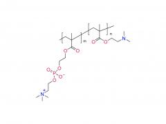 ポリ（DMA-co-MPC）