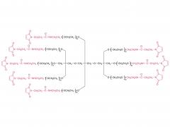 8アームペグ-mal（tp）