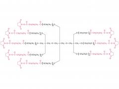 8アームpeg-sg（tp）