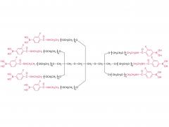 エデト酸二ナトリウム