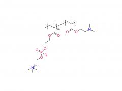 ポリ（DMA-co-MPC）