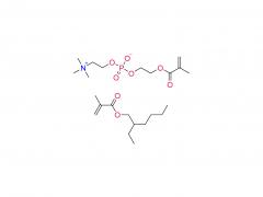 ポリ（EHMA-co-MPC）
