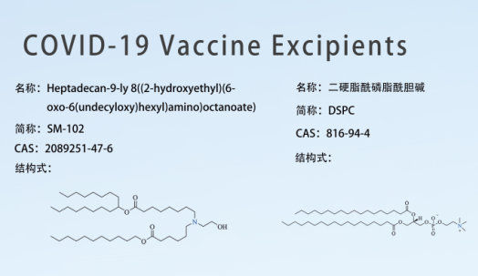 議論について Covid-19 ワクチン 賦形剤 