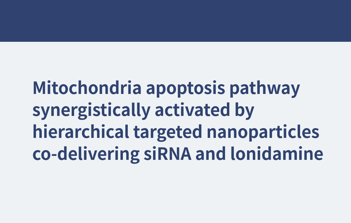 ミトコンドリアのアポトーシス経路は、siRNA とロニダミンを同時送達する階層的標的ナノ粒子によって相乗的に活性化される