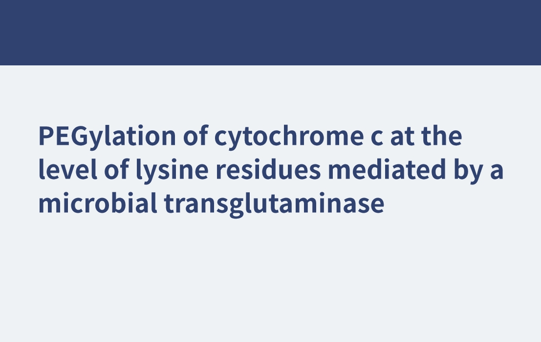 微生物のトランスグルタミナーゼを介したリジン残基レベルでのシトクロムcのPEG化
    