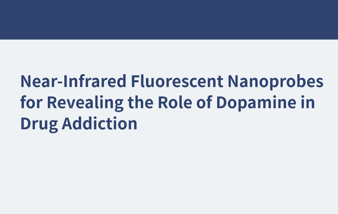 薬物中毒におけるドーパミンの役割を明らかにするための近赤外蛍光ナノプローブ
    