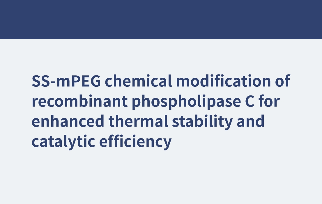 熱安定性と触媒効率を高めるための組換えホスホリパーゼ C の SS-mPEG 化学修飾