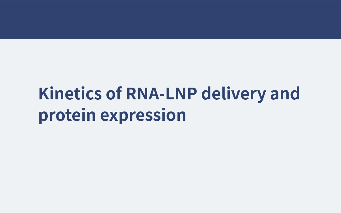 RNA-LNP送達とタンパク質発現の速度論