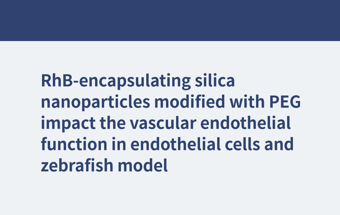 PEGで修飾されたRhBカプセル化シリカナノ粒子は、内皮細胞およびゼブラフィッシュモデルの血管内皮機能に影響を与える