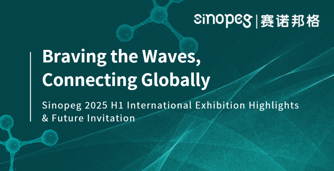 Braving the Waves, Connecting Globally | Sinopeg 2025 H1 International Exhibition Highlights & Future Invitation