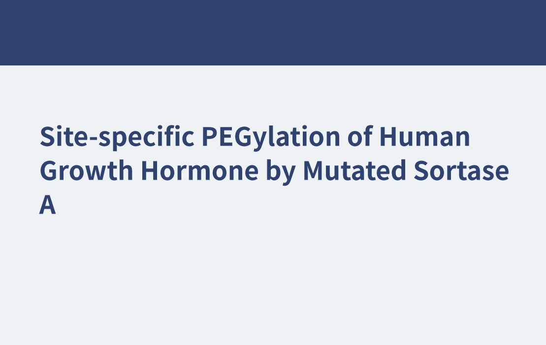 変異ソルターゼAによるヒト成長ホルモンの部位特異的PEG化