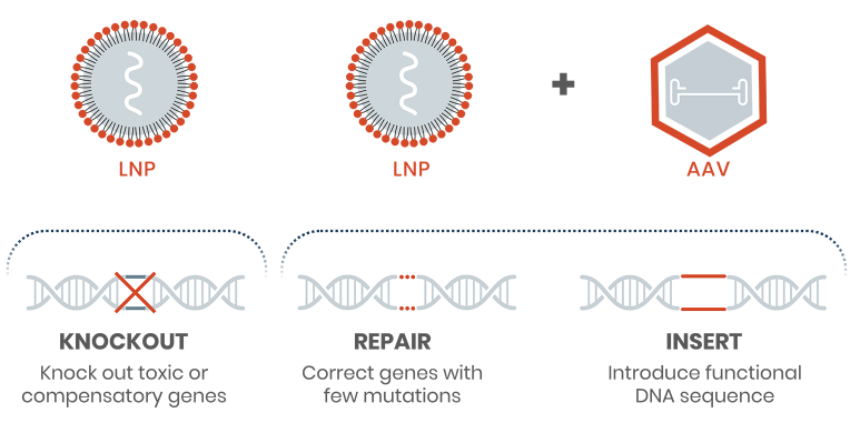 LNPアプリケーション：遺伝子編集療法